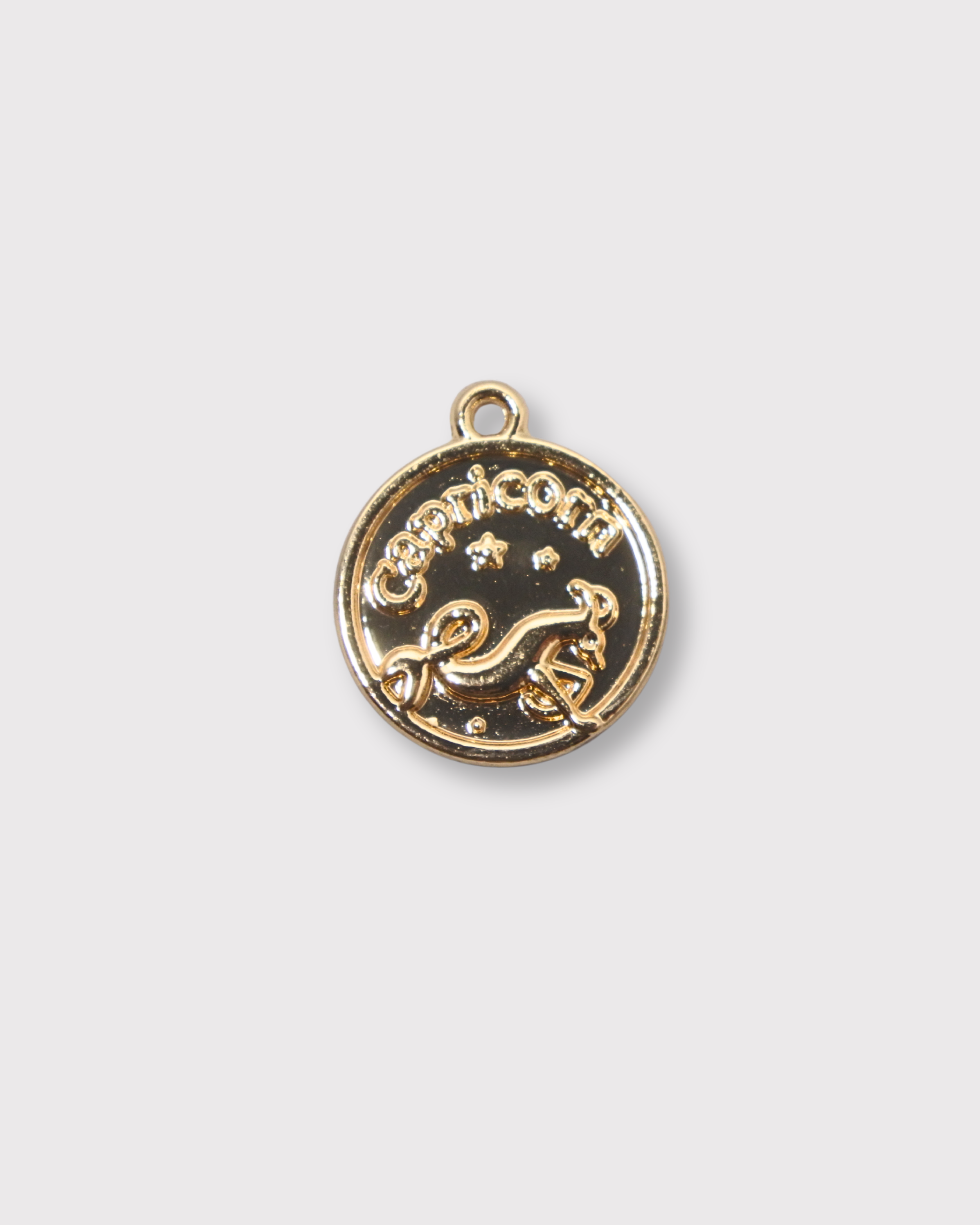 Zodiac Charms
