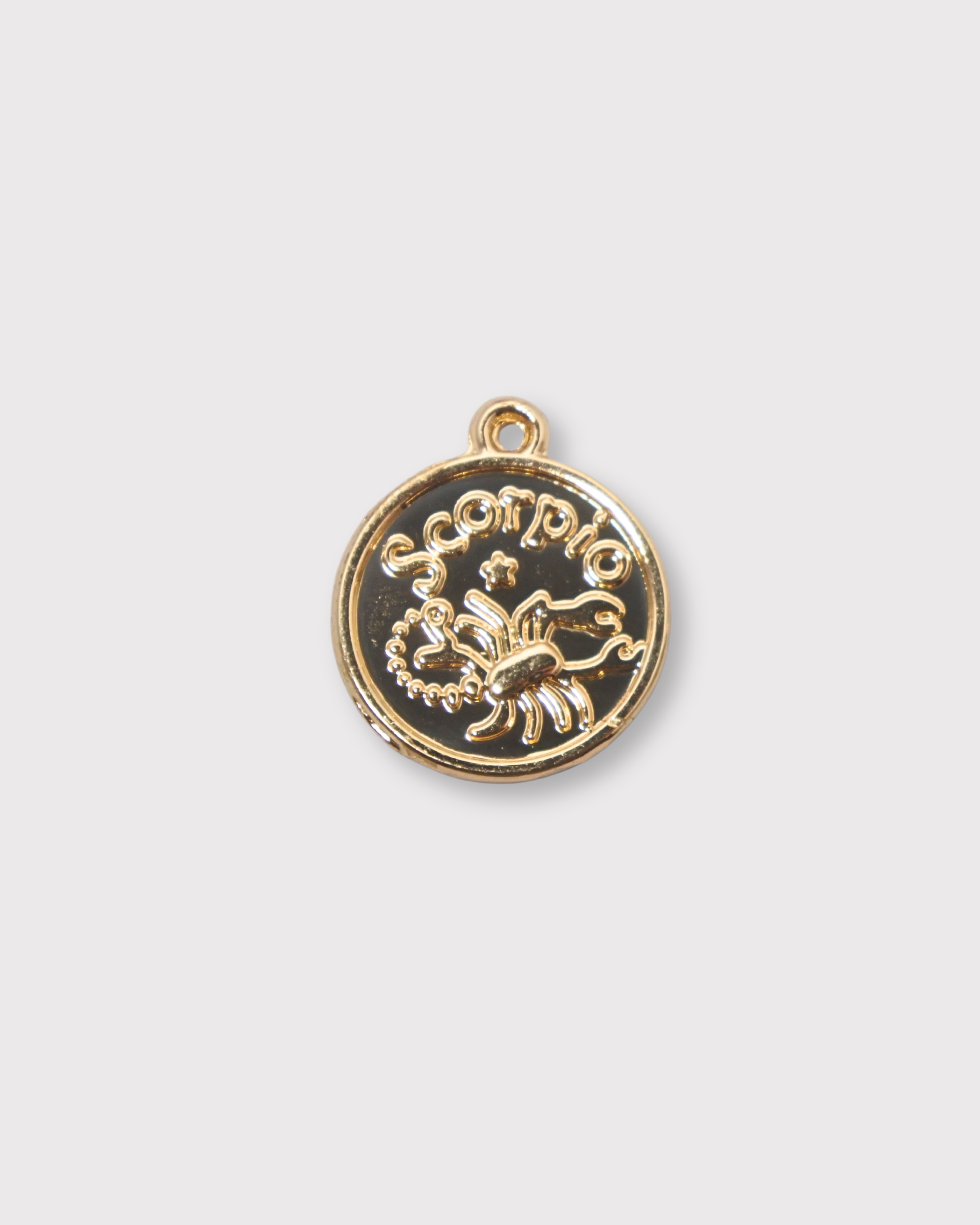 Zodiac Charms