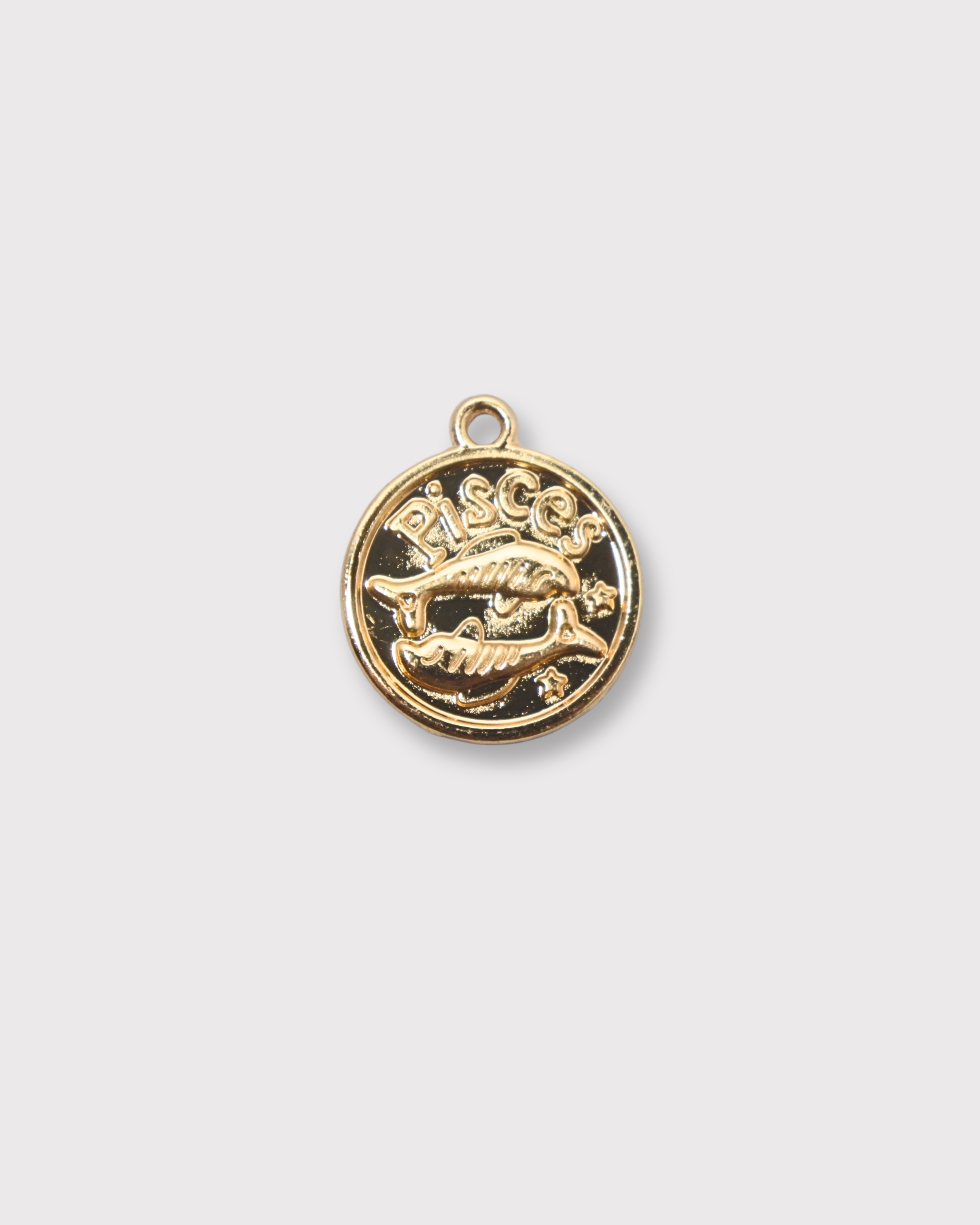 Zodiac Charms