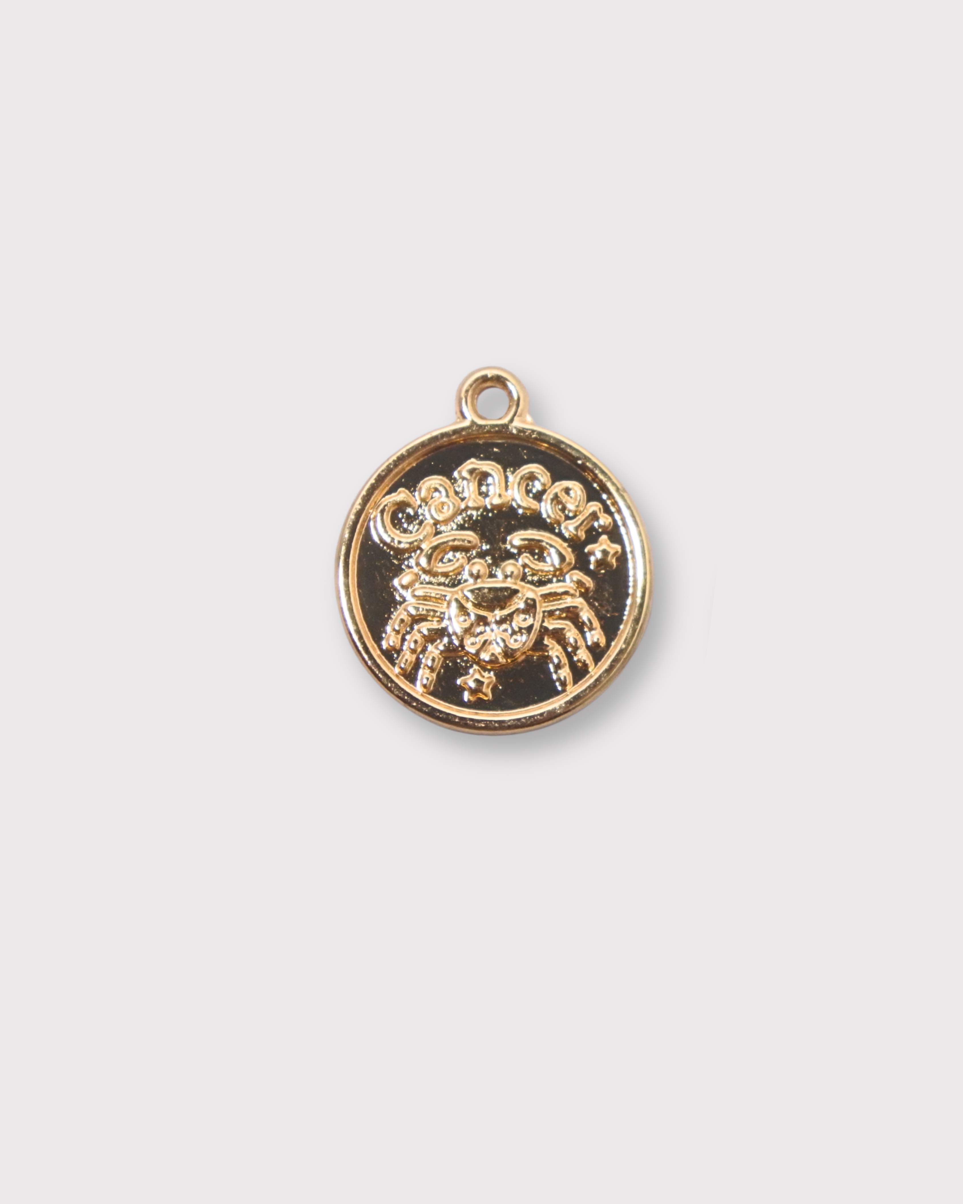 Zodiac Charms