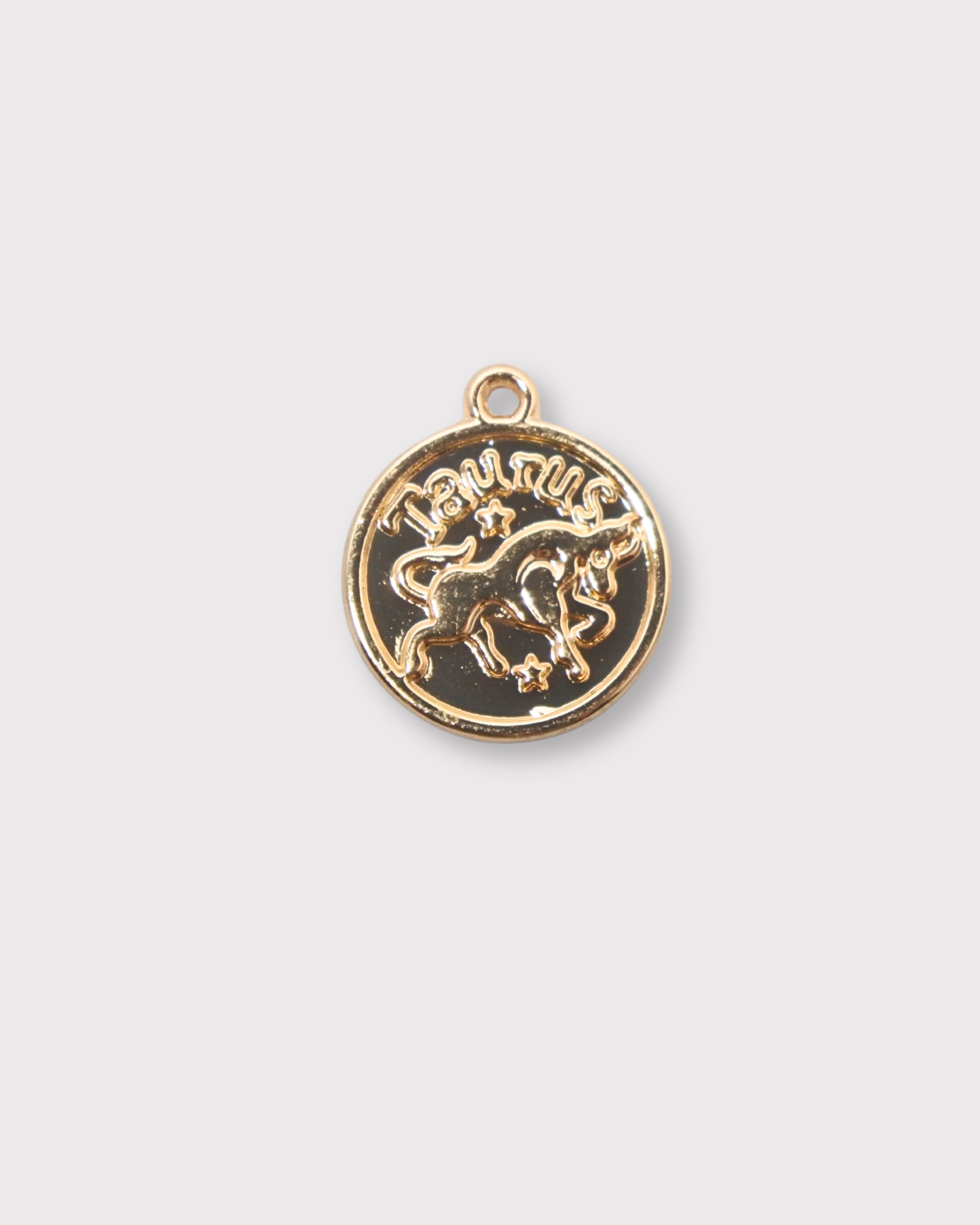 Zodiac Charms